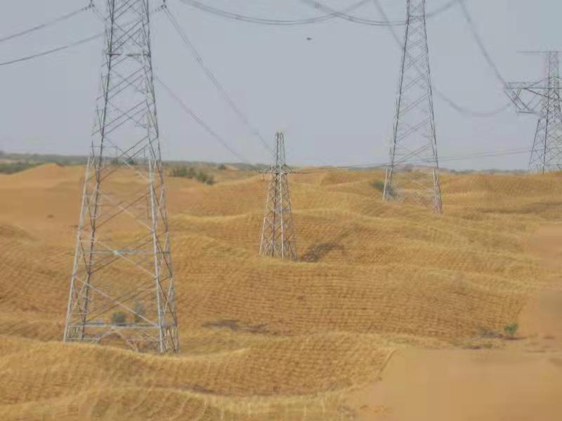 无人机倾斜摄影技术助力宁夏沙害防治(图2)