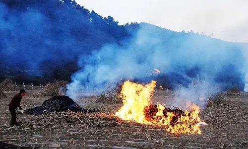 千里眼无人机监控焚烧秸秆污染环境行为(图1)